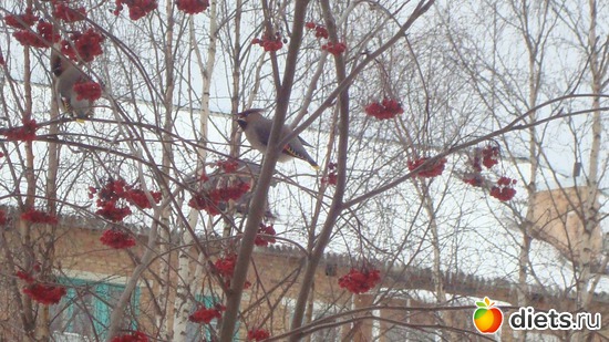 13 ����: ������� ����������