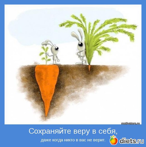 1 ����: ����������