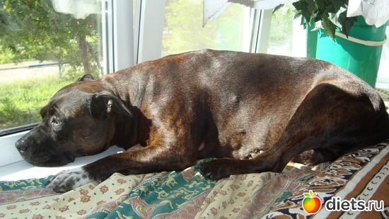 4 ����: ������� ����������