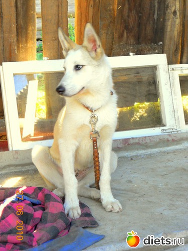 10 ����: �