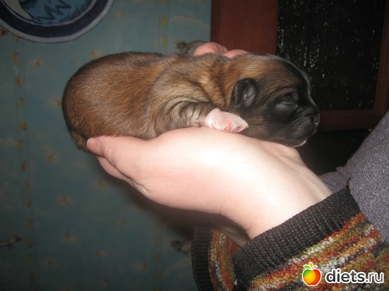 56 фото: Семья