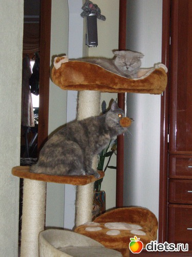 1 ����: ����