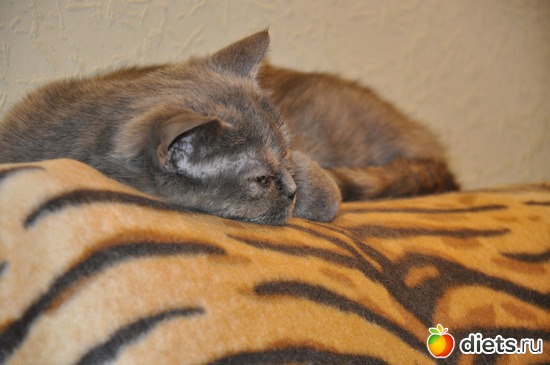 2 ����: ����