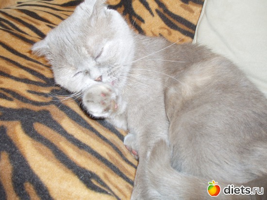 3 ����: ����