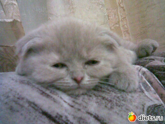 5 ����: ����