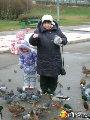 1 ����: ���������