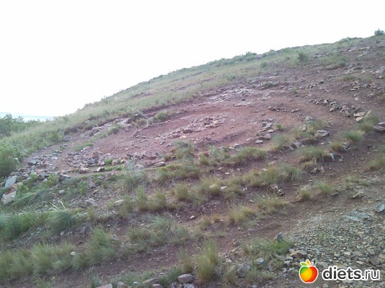 4 ����: ������ 2011