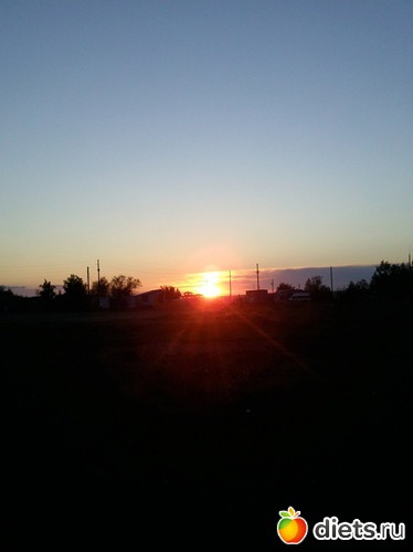 5 ����: ������ 2011