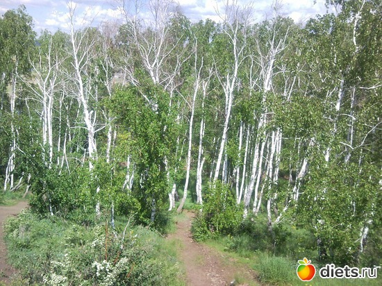 7 ����: ������ 2011