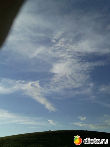 8 ����: ������ 2011