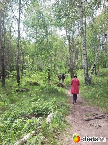 13 ����: ������ 2011