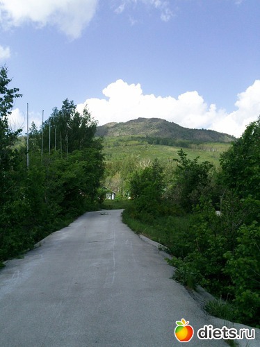 16 ����: ������ 2011