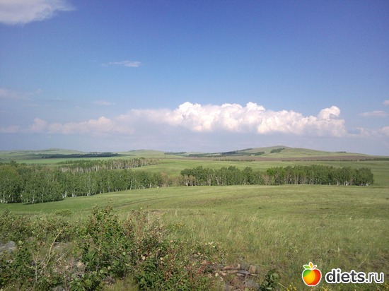 17 ����: ������ 2011