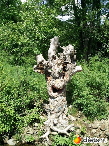 22 ����: ������ 2011