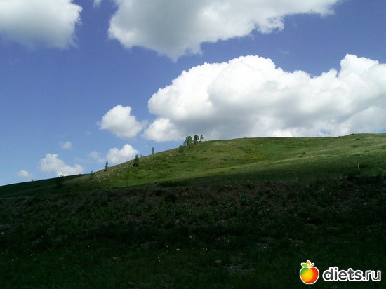 23 ����: ������ 2011