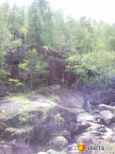 31 ����: ������ 2011