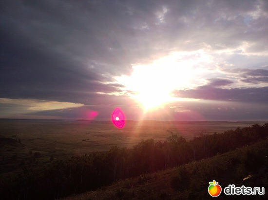 38 ����: ������ 2011