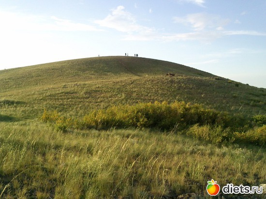 43 ����: ������ 2011