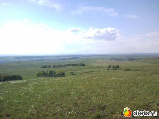 46 ����: ������ 2011