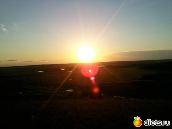 49 ����: ������ 2011