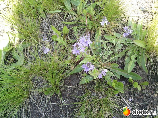 50 ����: ������ 2011