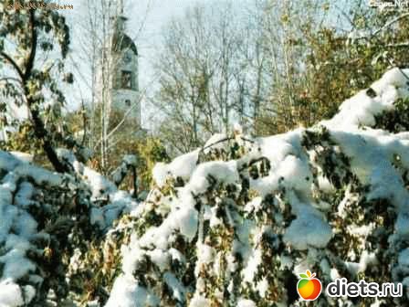 Мой любимый город