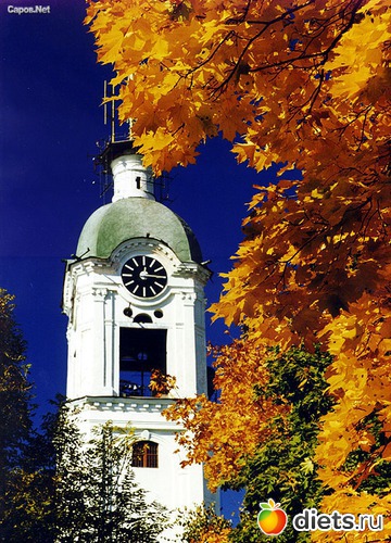 18 фото: Мой любимый город