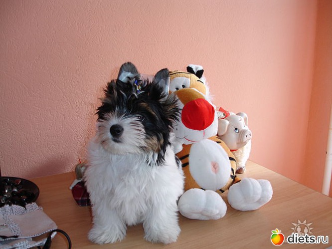 1 ����: ��� �����