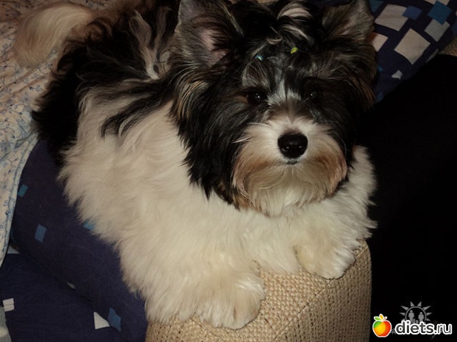 2 ����: ��� �����