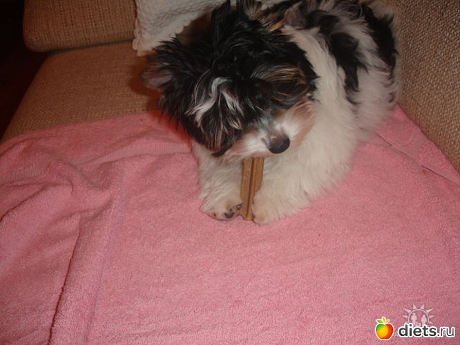 3 ����: ��� �����