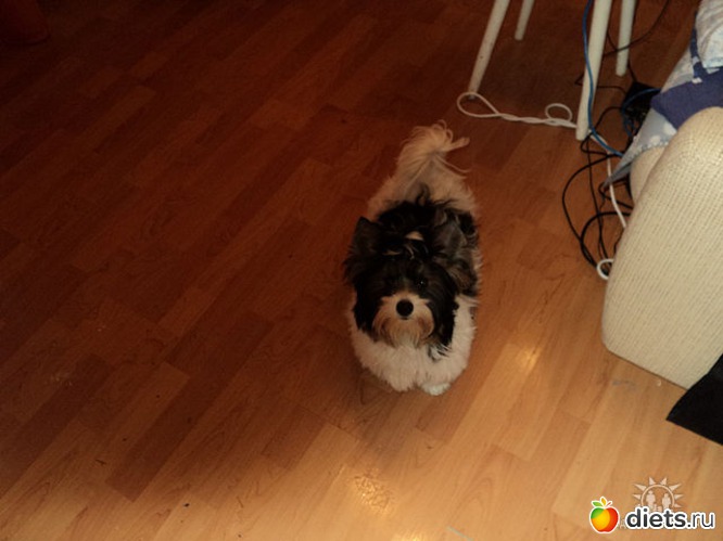 4 ����: ��� �����