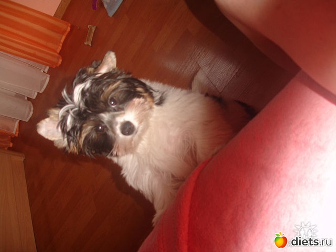 5 ����: ��� �����