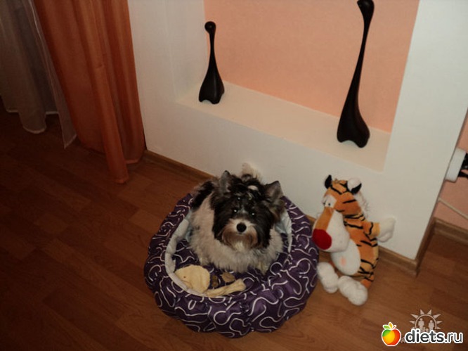 7 ����: ��� �����