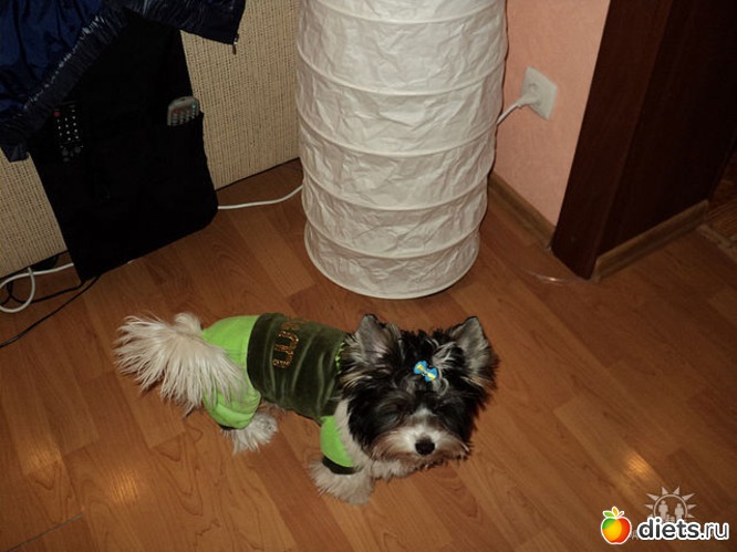 8 ����: ��� �����