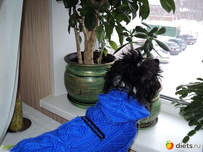 9 ����: ��� �����