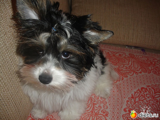 10 ����: ��� �����