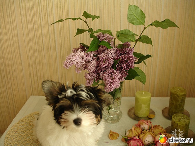 11 ����: ��� �����