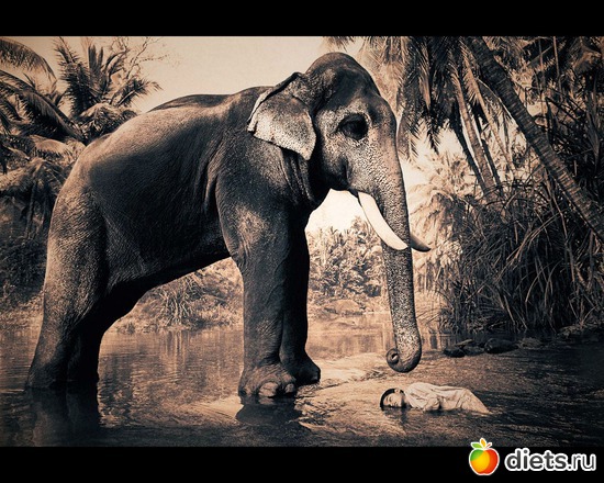 202 фото: "Ashes and Snow" / "Пепел и снег" by Gregory Colbert