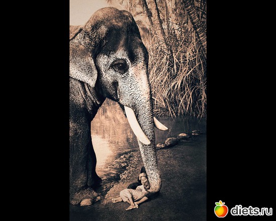 203 ����: "Ashes and Snow" / "����� � ����" by Gregory Colbert