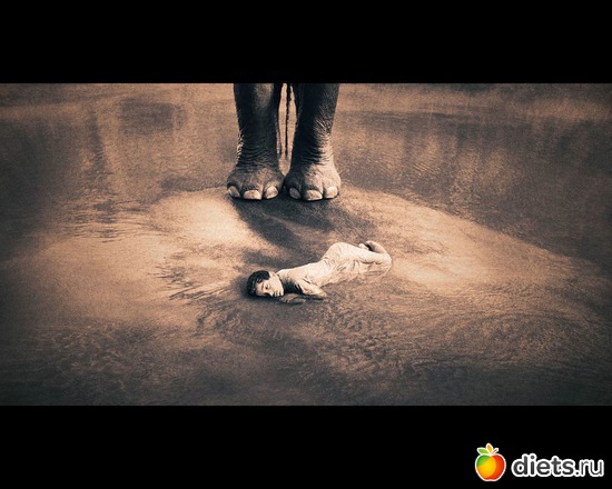 204 ����: "Ashes and Snow" / "����� � ����" by Gregory Colbert