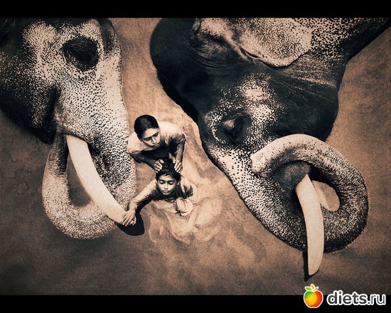 207 ����: "Ashes and Snow" / "����� � ����" by Gregory Colbert