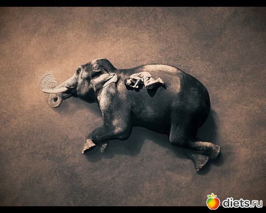 208 ����: "Ashes and Snow" / "����� � ����" by Gregory Colbert