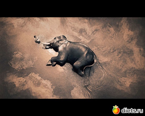 209 ����: "Ashes and Snow" / "����� � ����" by Gregory Colbert