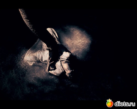 214 ����: "Ashes and Snow" / "����� � ����" by Gregory Colbert