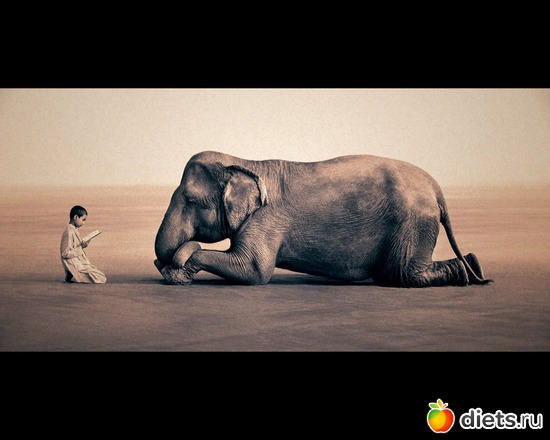 1 фото: "Ashes and Snow" / "Пепел и снег" by Gregory Colbert