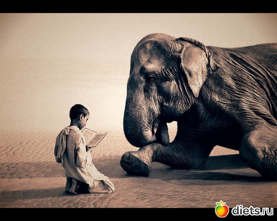 2 фото: "Ashes and Snow" / "Пепел и снег" by Gregory Colbert