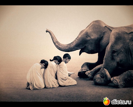 4 фото: "Ashes and Snow" / "Пепел и снег" by Gregory Colbert