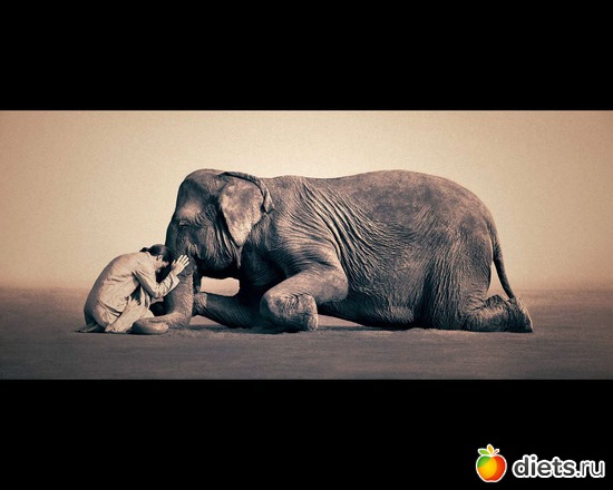 6 фото: "Ashes and Snow" / "Пепел и снег" by Gregory Colbert