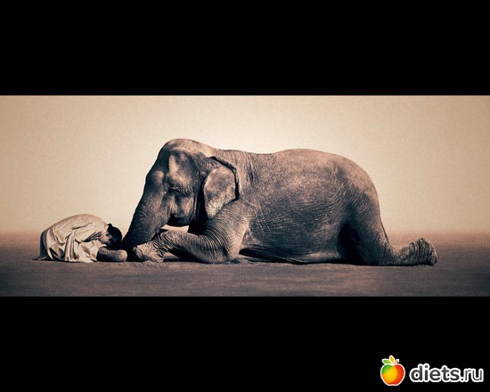 7 фото: "Ashes and Snow" / "Пепел и снег" by Gregory Colbert