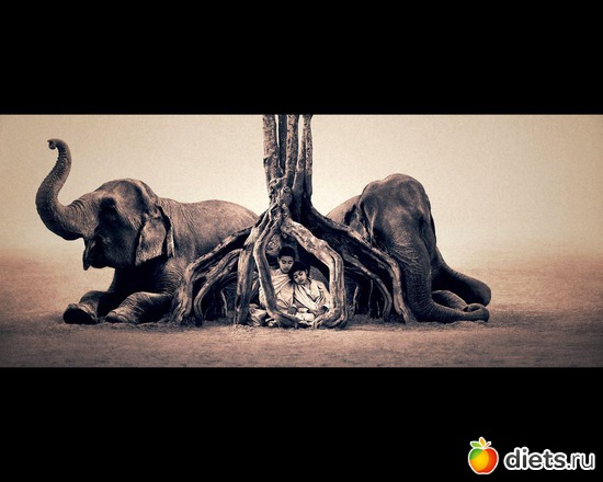 8 фото: "Ashes and Snow" / "Пепел и снег" by Gregory Colbert